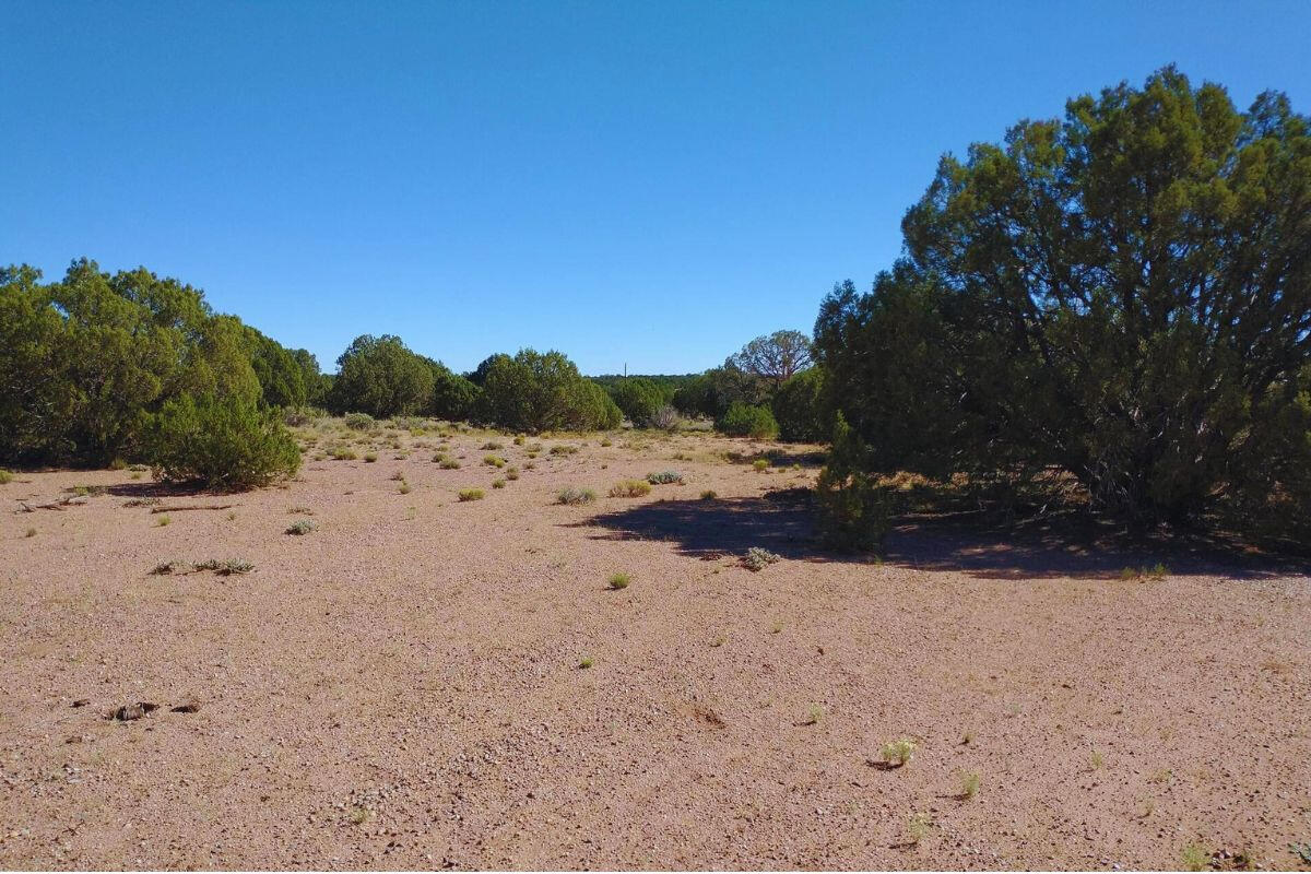 Driveway and RV Pad - 4522 Sorrel Rd, Snowflake, AZ 85937