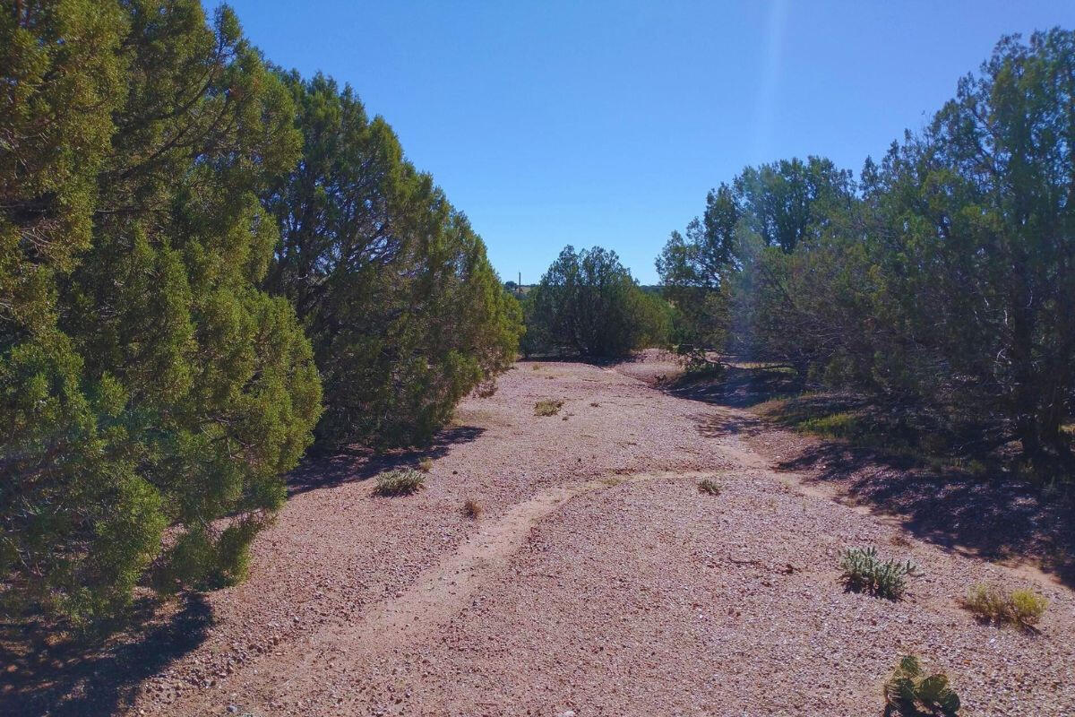 Driveway and RV Pad - 4522 Sorrel Rd, Snowflake, AZ 85937