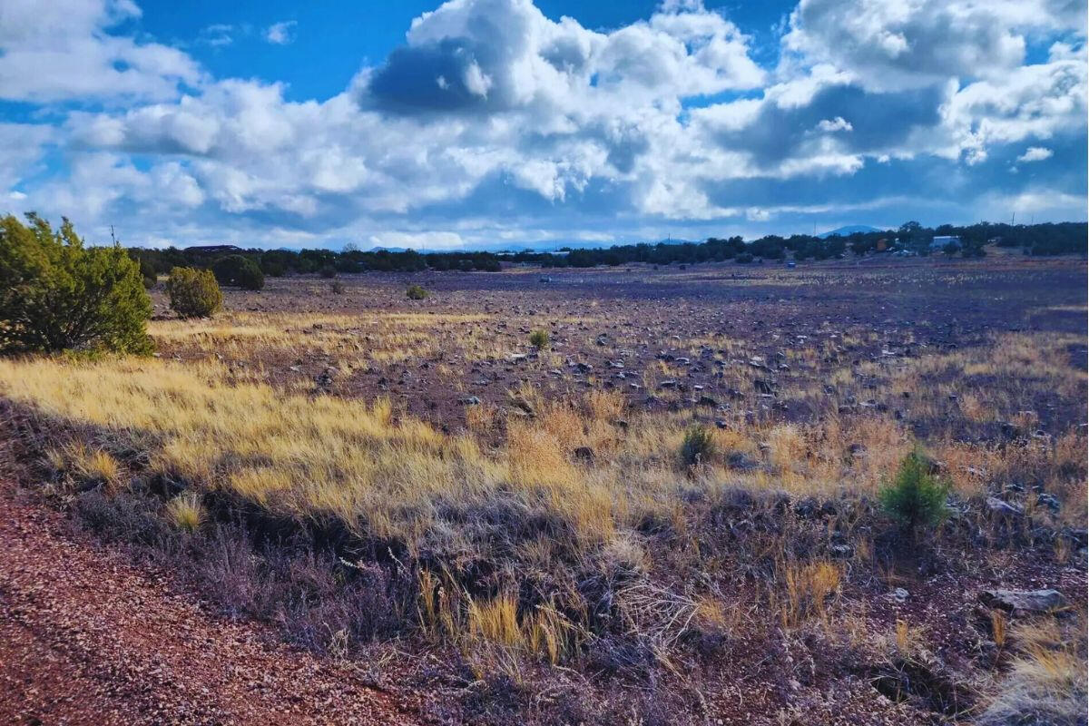 Driveway and RV Pad - 4522 Sorrel Rd, Snowflake, AZ 85937