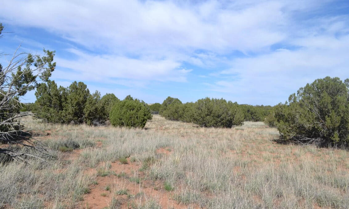 Driveway and RV Pad - 4522 Sorrel Rd, Snowflake, AZ 85937