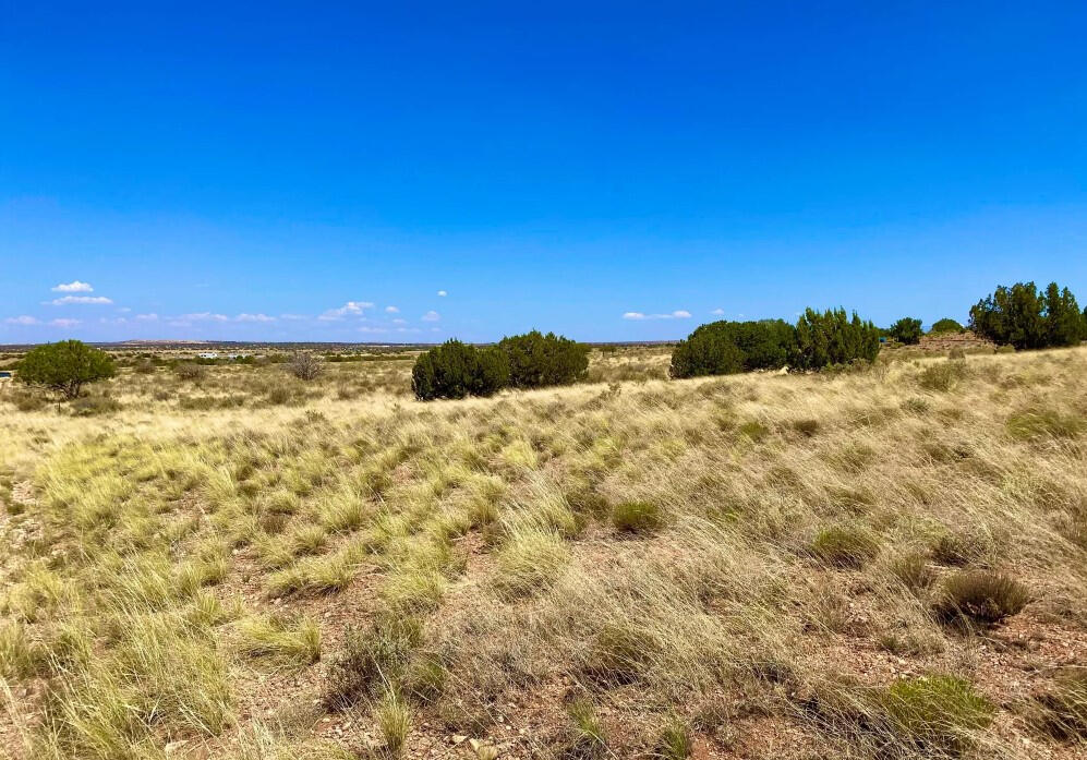 Driveway and RV Pad - 4522 Sorrel Rd, Snowflake, AZ 85937